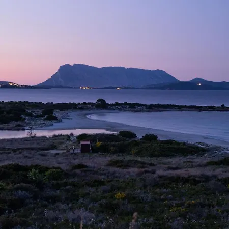 Ginepro Villa San Teodoro (Sardinia)