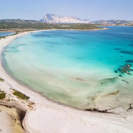 Ginepro * San Teodoro (Sardinia)