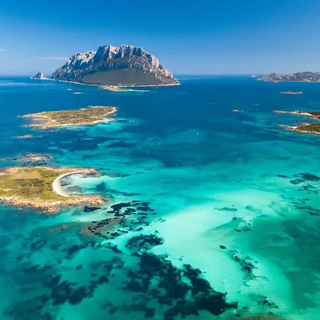 Ginepro Villa San Teodoro (Sardinia)